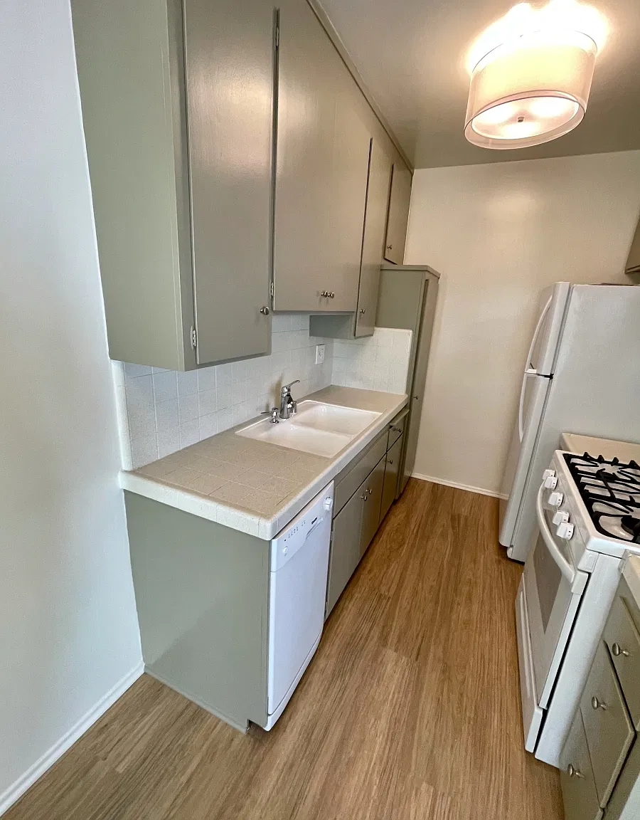 2 bed, 2.0 bath, $2,995 — Photo 3