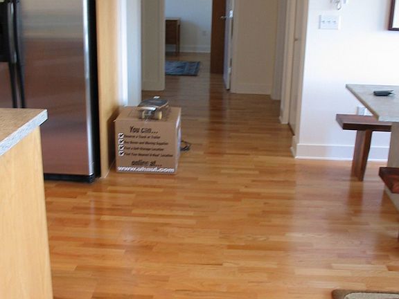 Hardwood floors througout