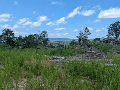 Nc 2900, Marble Falls, AR, 72648