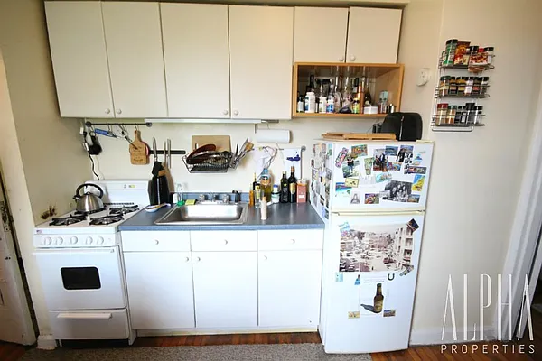 Rented by Alpha Properties NYC I LLC | media 17