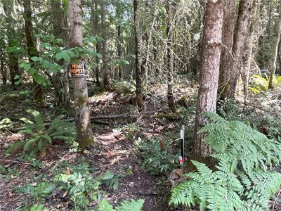 16815 224 Avenue Ct E, Orting, WA, 98360