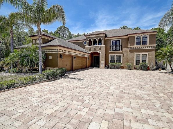 14809 Ninebark Ct, Land O Lakes, FL 34638