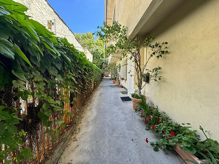Flores — Photo 3