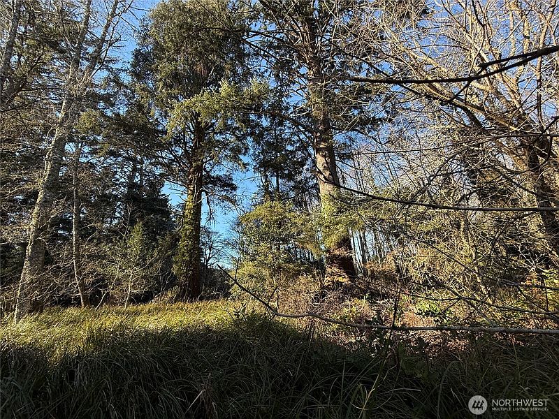 3rd image of 27399 Sandridge Road