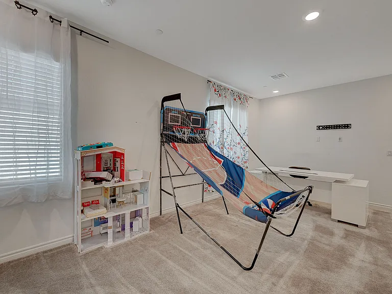 293 Mount Langley St — Photo 21