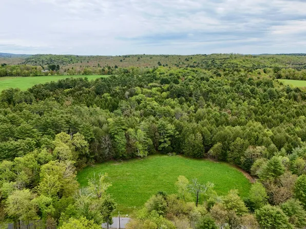 0 Hurd Rd #48, Swan Lake, NY 12783