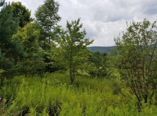 0 Phillips Rd, Berkshire, NY 13736