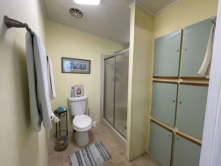 Master Bathroom shower
