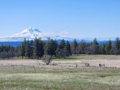 Nka20 Arabian Ct, Centerville, WA, 98613