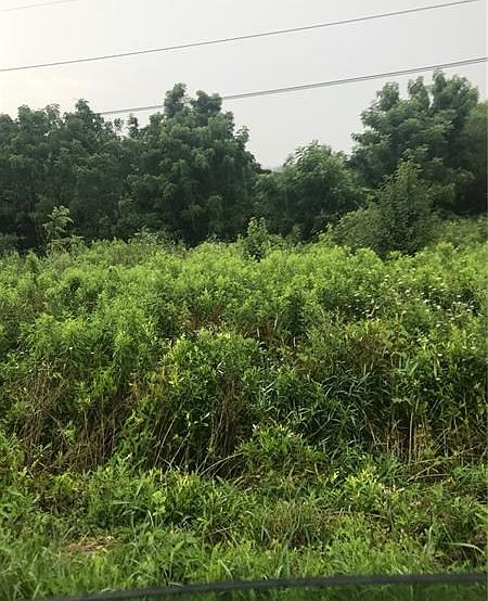 1st image of 3820 Old William Penn Hwy