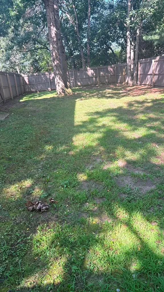 1 bed, $1,900 — Photo 3
