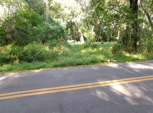 N Saint Clair St, Wildwood, FL 34785