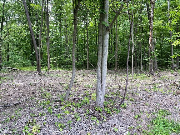 3rd image of Columbia Ln