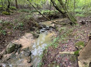 19/ACR E Sasser Rd, Kellyton, AL 35089