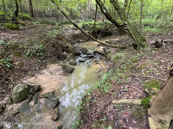 19/ACR E Sasser Rd, Kellyton, AL 35089