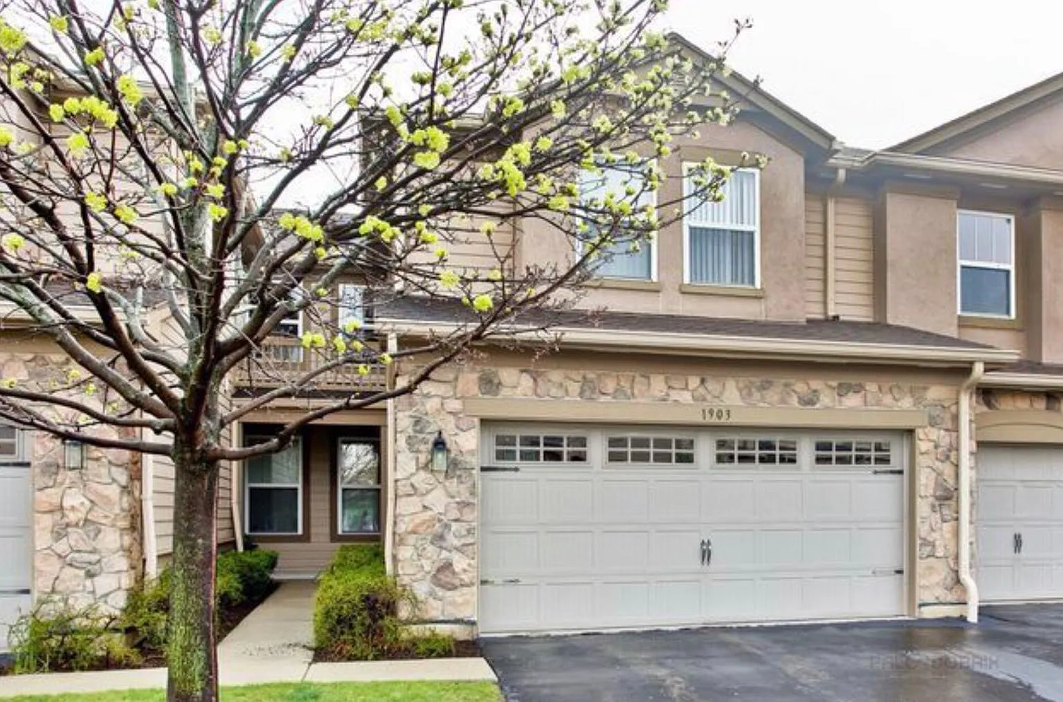 3 bed, 2.5 bath, 1900 sqft, $3,500 — Photo 1