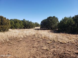 30 Co Rd, Vernon, AZ 85940