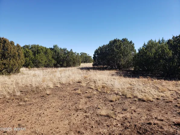 30 Co Rd, Vernon, AZ 85940