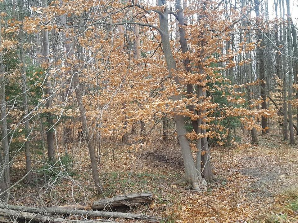 2nd image of 16340 Van Wagoner Rd