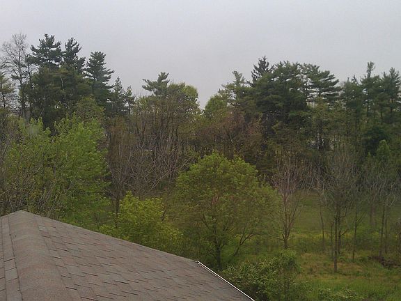 View from 2nd floor bdrm