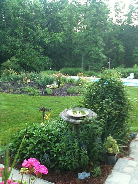 Private serene back yard