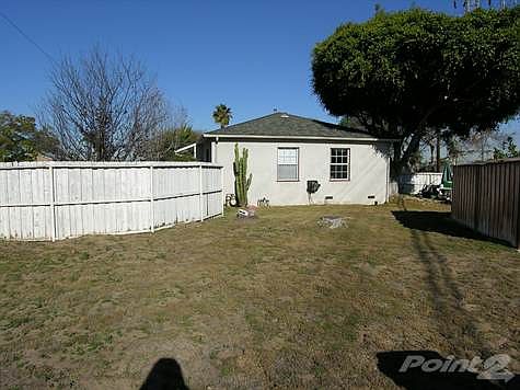 Part of the back yard