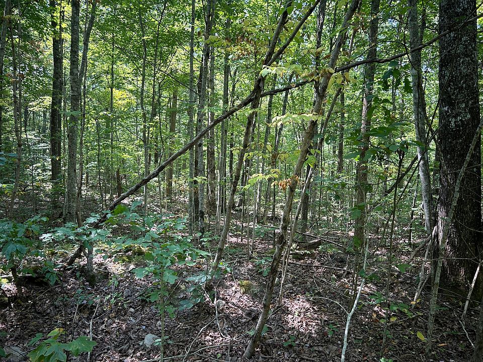 2nd image of 1882 Trail Way
