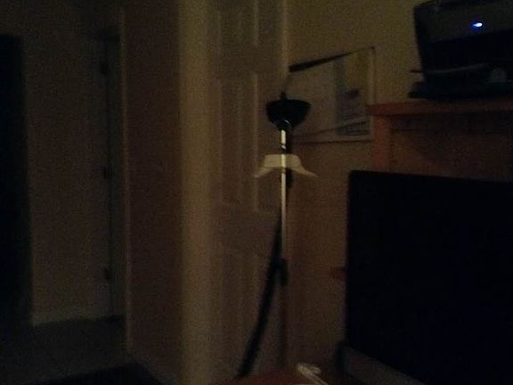 5th image of 352 Craig Ave