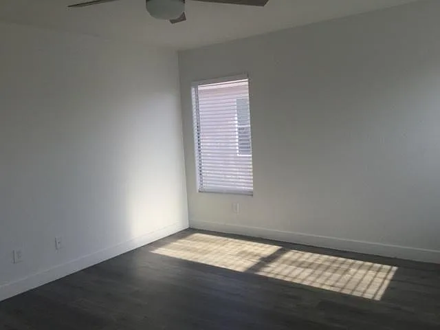 10280 Purple Primrose Dr — Photo 13