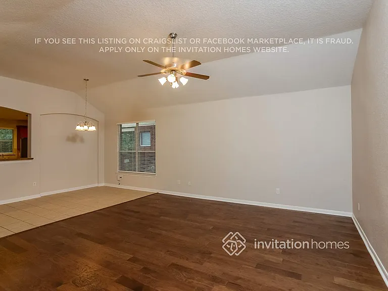 4807 Barboli — Photo 3