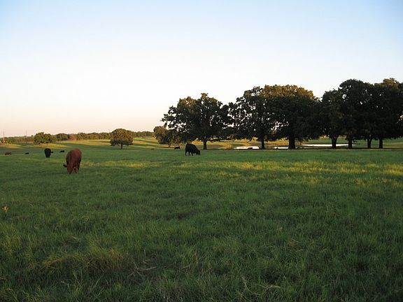 3rd image of 1262 County Line Church Road