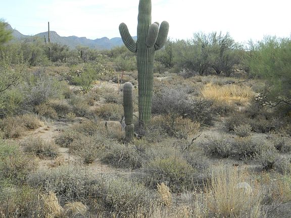 3rd image of 0 W Tangerine Rd