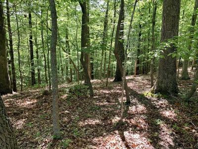 8 Hickory Dr #8, Goodview, VA, 24095