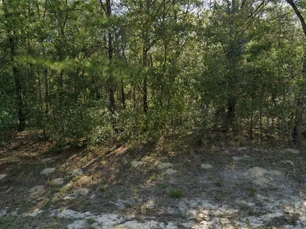 8904 N Alameda Dr, Citrus Springs, FL 34434