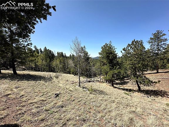 186 Kenosha Way, Florissant, CO 80816 | MLS #1065600 | Zillow