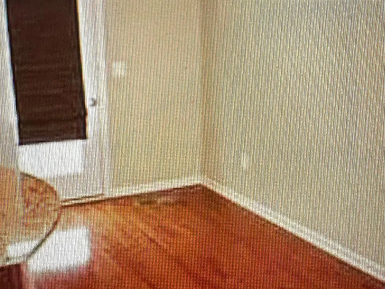 25134 Omaha Ter — Photo 6