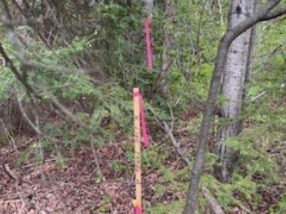 3rd image of 29XX County Rd 7
