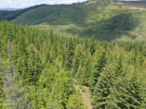 690 High Mountain Dr, Fernwood, ID 83830