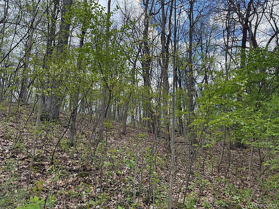 3rd image of LOT 25 Hidden Ridge Trl