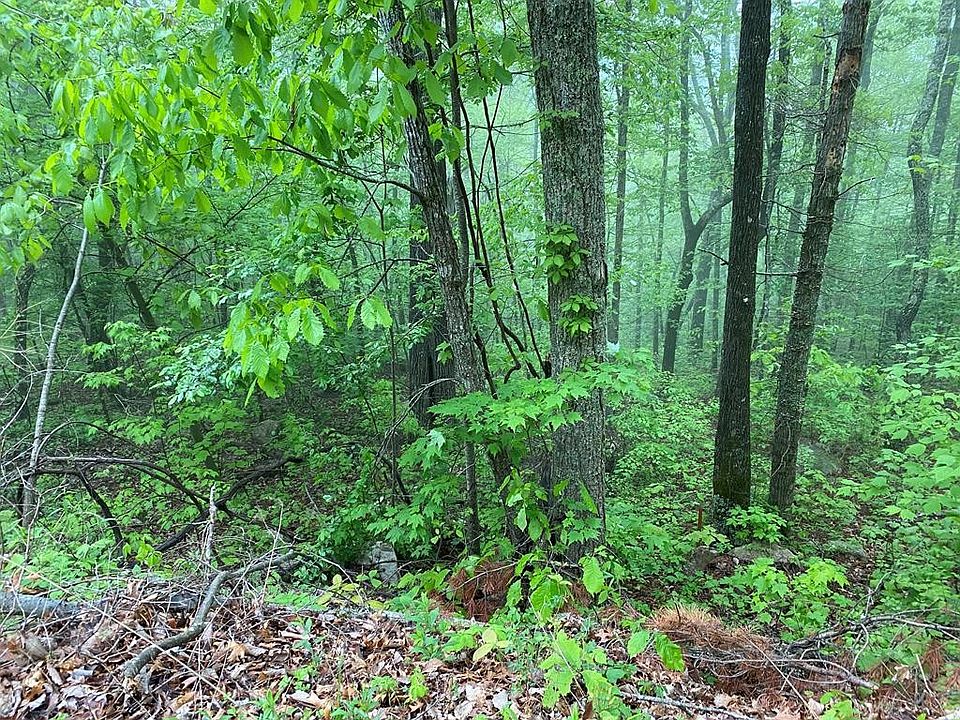 1st image of 20 Linwood Ct Lot 20