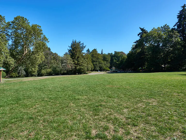 Enjoy the sun at Cowen Park