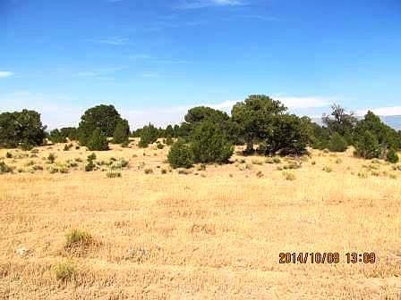 4th image of LOT 41 Lot 41 Unit Dd Co Land