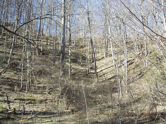 5th image of 200 Off Sinks Road