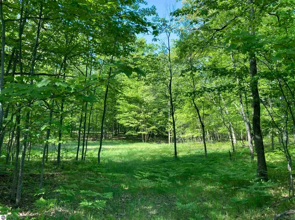 3240 S Baroda Dr Lot 31, West Branch, MI 48661