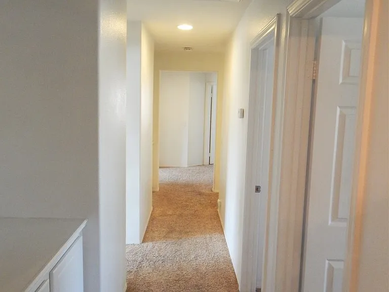 29391 Owl Creek Ct — Photo 5