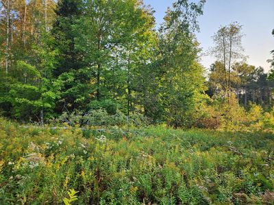 E Sipple Ln, Crandon, WI, 54520