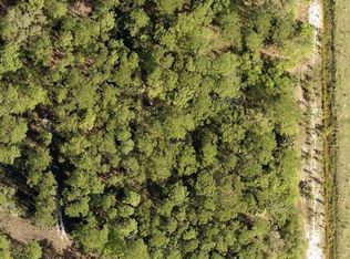 Lake Harney Rd, Osteen, FL 32764