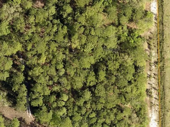 Lake Harney Rd, Osteen, FL 32764