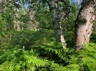 N Whitefish Point Rd, Paradise, MI 49768