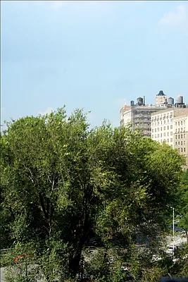 Rented by Corcoran | media 22